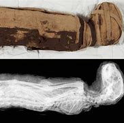 Image result for Stone Age Mummies