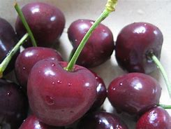 Fresh Cherries 的图像结果