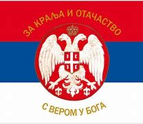 Image result for Zastava Kraljevine Srbije