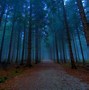 Image result for Mystical Dark Forest