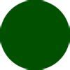 Image result for Neon Green Circle