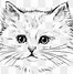 Image result for Persian Cat Outline