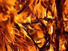 Image result for Rexdale Plant On Fire