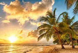 Image result for Tropical Setting