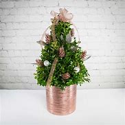 Image result for Rose Gold Mini