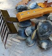 Image result for How to Make a Clam Rake