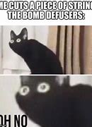 Image result for Bomb Cat Meme