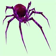Image result for Australian Spiders