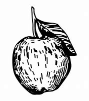 Image result for Apple Illustration