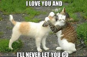 Image result for Love You More Funny Memes