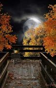 Image result for Beautiful Fall Scenery Moon