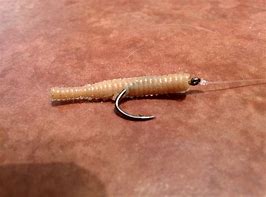 Image result for Trout Fishing Hooks