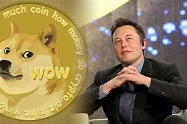 Image result for Elon Musk Happy