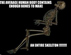Image result for Skeleton Muscle Meme