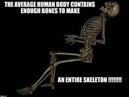 Image result for Skeleton Drawing Meme