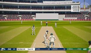 Image result for Steam Game Covers Cricket 19