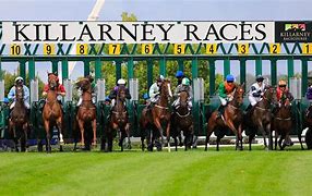 Image result for Horse Racing Trainer Gate