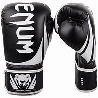Image result for Venum Boxing Gloves White and Black