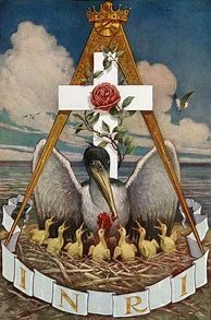 Image result for Knight of the Rose
