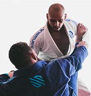 Image result for Jiu Jitsu Encyclopedia