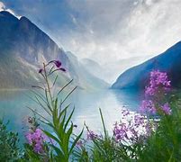 Image result for Microsoft Windows Wallpaper