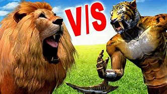 Image result for Animated Animals Fighting