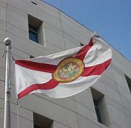 Image result for Florida Flag