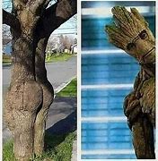 Image result for Groot Talking Tree Meme