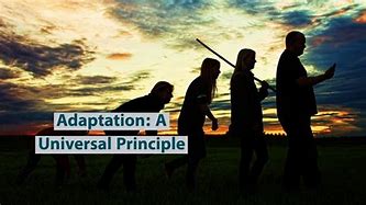 Image result for Human Adaptation