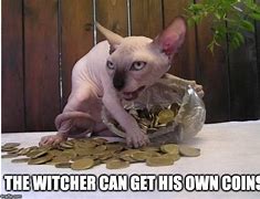 Image result for Cat Meme Coin