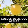 Image result for Golden Delicious Apple