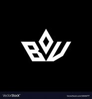 Image result for BV Monogram