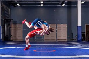 Image result for What Is Greco-Roman Wrestling