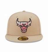 Image result for Chicago Bulls From Estonia