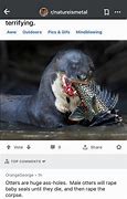 Image result for I Hate Otters