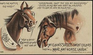 Image result for Horse Laughing Meme