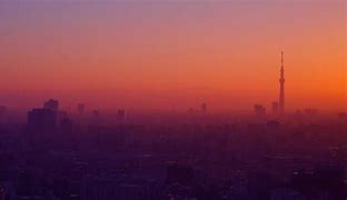Image result for Tokyo Metropolis