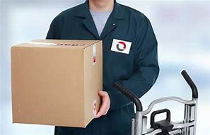 Image result for Small Package Delivery