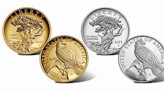 Image result for American Liberty Gold Coin