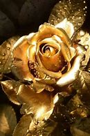 Image result for Gold Non-Real Roses