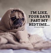 Image result for Sleep Humor Quotes