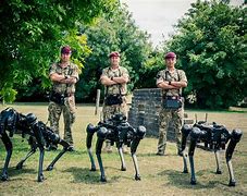 Image result for Military Robot Dog