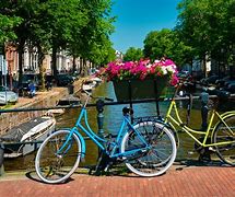 Image result for Netherlands Bike