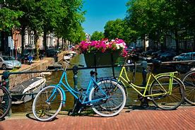 Image result for Dutch Holland Bikes
