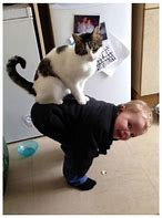 Image result for Funny Kids and Pets