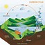 Image result for carbon cycle
