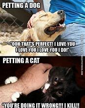 Image result for Funny Cat vs Dog Memes