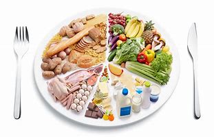 Image result for A Balanced Diet Plate