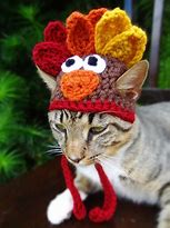 Image result for Thanksgiving with Cats