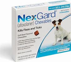 Image result for Dog Pill